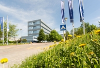 Аренда и продажа офиса в Бизнес-центр На Научном